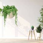 Cachepô Elegance De Parede Mini (1,5l) Travertino Nutriplan