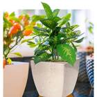 Cachepô Elegance Quadrado 02 (1,7l) Travertino Nutriplan