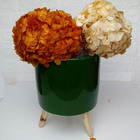 Cachepo Grande  Pe Madeira Azul 19cm