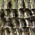 Cachepô Morpheu Decorativo Em Cerâmica Verde Home&co 19x26cm