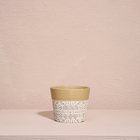 Cachepô Terracota Dalya - Branco E Dourado