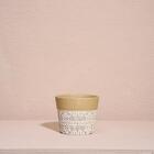 Cachepô Terracota Dalya - Branco E Dourado