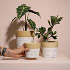 Cachepô Terracota Dalya - Branco E Dourado