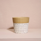 Cachepô Terracota Dalya - Branco E Dourado