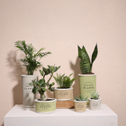 Cachepô Terracota Pottery - Bege