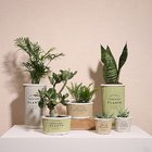 Cachepô Terracota Pottery - Cinza