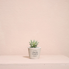 Cachepô Terracota Pottery - Cinza