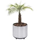 Cachepo Tramontina Em Aco Inox Com Acabamento Scotch Brite E