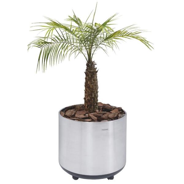 Cachepo Tramontina Em Aco Inox Com Acabamento Scotch Brite E