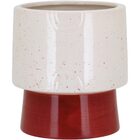 Cachepô Vaso De Planta Decorativo 15x14x14cm Cerâmica Color