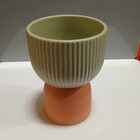 Cachepô Vaso Decorativo Enfeite Planta Cerâmica 20x15x15cm Ve