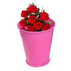 Cachepot Balde Ferro Decorativo Mesa Festa Pequeno 24 Unid