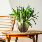 Cachepot Cerâmica Americano 1 16x19x10 Ouro Velho Bella Art