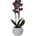 Cachepot Cerâmica Bola Branco 11x11x11cm Arts Cris