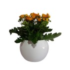 Cachepot Cerâmica Bola Branco 15x18x18cm Arts Cris