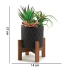 Cachepot Cerâmica Com Suculenta 11661 Mart