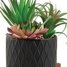 Cachepot Cerâmica Com Suculenta 11661 Mart