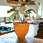 Cachepot Cerâmica Romano Alto Natural 17x20cm Boa Nova