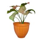 Cachepot Cerâmica Romano Alto Natural 17x20cm Boa Nova