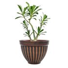 Cachepot Cerâmica Romano Médio Tabaco 13,5x17,5cm Boa Nova