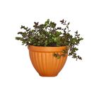 Cachepot Cerâmica Romano Mini Natural 8x11cm Boa Nova