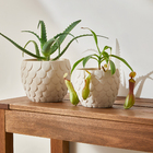 Cachepot Cimento Ariel Branco 15x18cm Mart