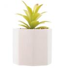Cachepot Com Suculenta Wolff Geométrico Cimento