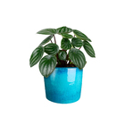 Cachepot de Cerâmica Azul 16x19x16cm Bella Art Vetrificados