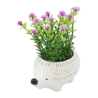 Cachepot De Cerâmica Branco Ouriço Pequeno Urban