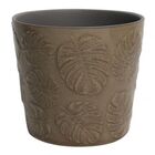 Cachepot De Ceramica Costela De Adao Bege 12 2cm X 12 2cm X