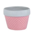 Cachepot De Cerâmica Rosa Com Borda Planta, Flor E Suculenta