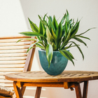 Cachepot de Cerâmica Verde 13x18x13cm Bella Art Vetrificados