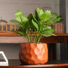Cachepot De Cimento Com Planta Artificial Prisma Marrom 11cm