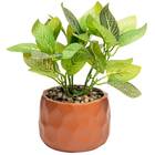 Cachepot De Cimento Com Planta Artificial Prisma Marrom 11cm