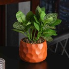 Cachepot De Cimento Com Planta Artificial Prisma Marrom 11cm