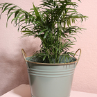 Cachepot De Ferro C/alça Dourado E Verde