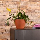 Cachepot de Plástico Cone baixo Marrom 22x28x28cm Vasap