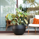 Cachepot de Plástico Cosmos Preto 40x55x55cm Vasap