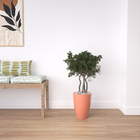 Cachepot de Plástico Veitnamita 31 Terracota 31x24cm Vasap Design