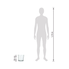 Cachepot de Vidro Nico Transparente 17x17x16cm Ts Brasil