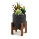 Cachepot Em Cerâmica Com Suculenta Permanente 11662 Mart