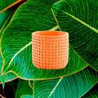 Cachepot Em Cimento 13026 Mart