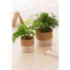 Cachepot Em Cimento 13027 Mart