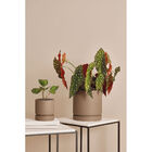 Cachepot Em Cimento 13476 Mart