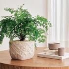 Cachepot Em Cimento 13737 Mart