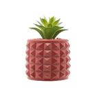 Cachepot Em Cimento Com Suculenta Wolff Spikes 7 5x11cm Terra