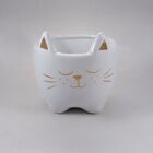 Cachepot Gato Cerâmica Decorativo Branco 13x10cm 8701