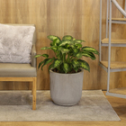 Cachepot Grande em Plástico 37x37cm com Prato Cimento SP27 Vasart