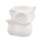 Cachepot Guaxinim Branco 9x11x9 Cm - .