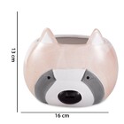 Cachepot "guaxinim" Rose Em Ceramica 13x16 Cm M02 - D'rossi